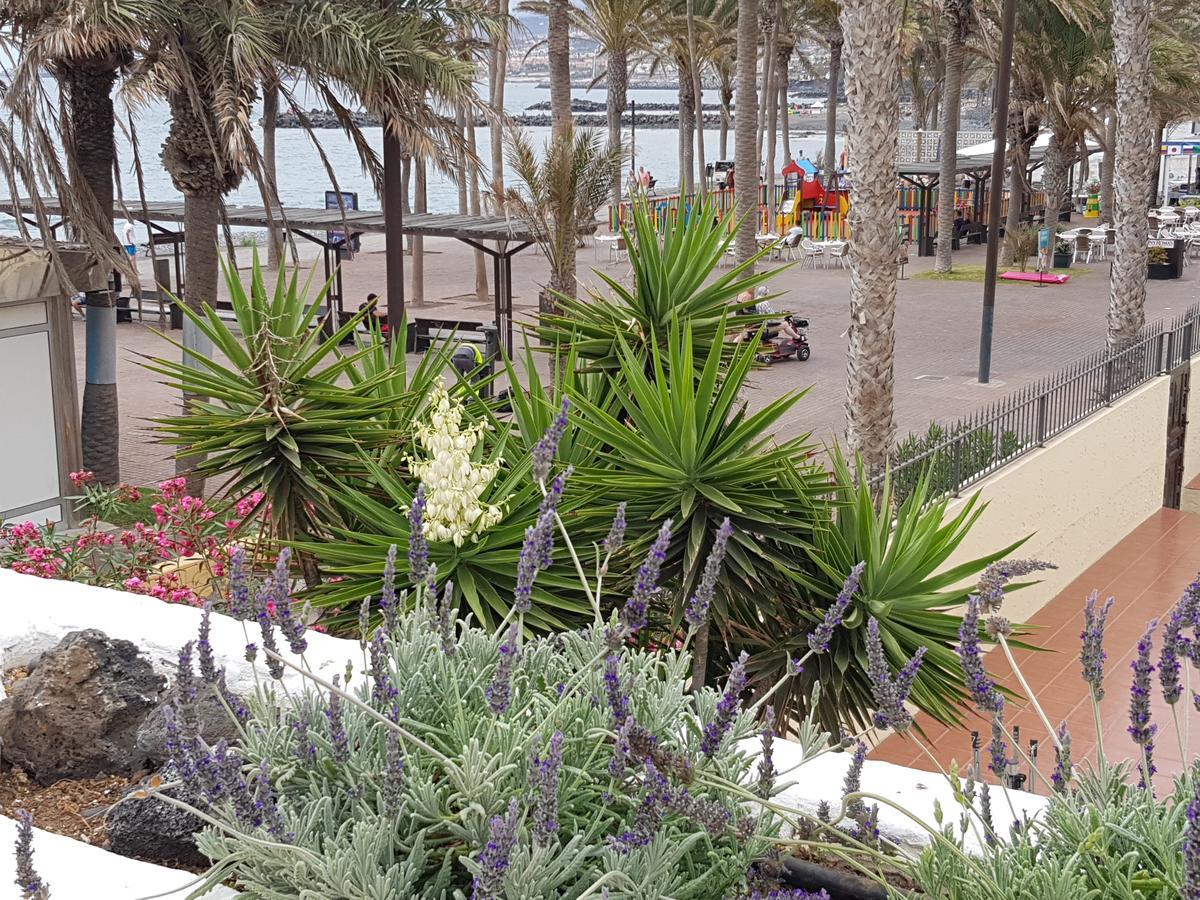 Vila Lavanda Playa de las Americas  Luaran gambar