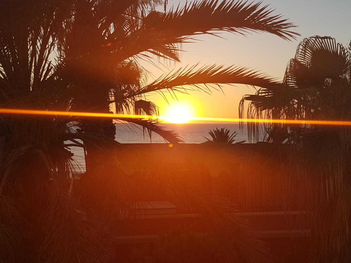Vila Lavanda Playa de las Americas  Luaran gambar